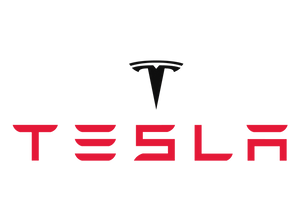 Tesla - Hype On The Inclusion Effect Fizzles (300)